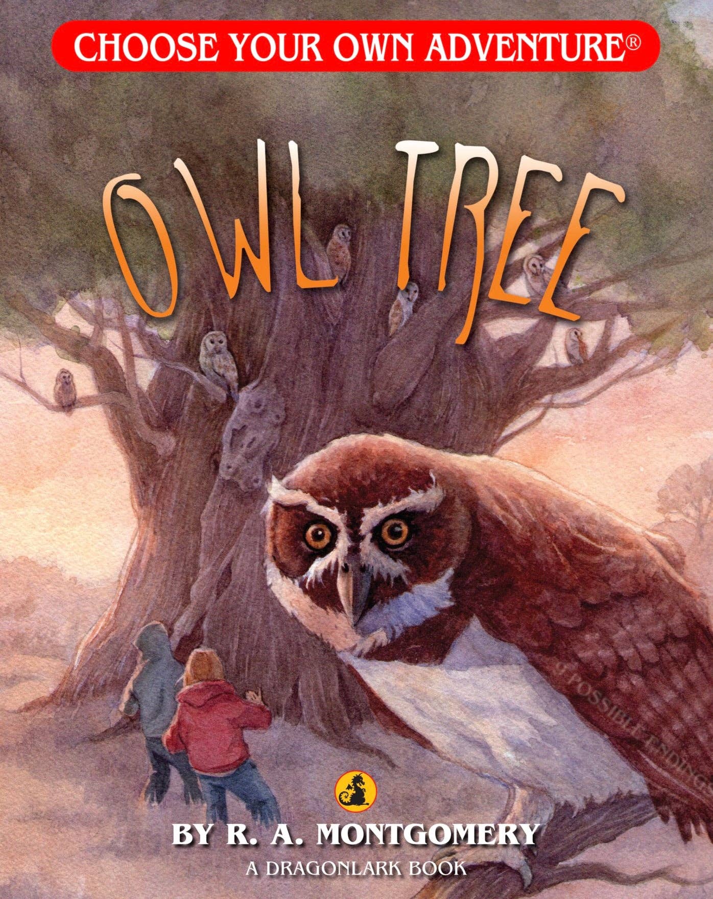 Owl Tree, Children's Book