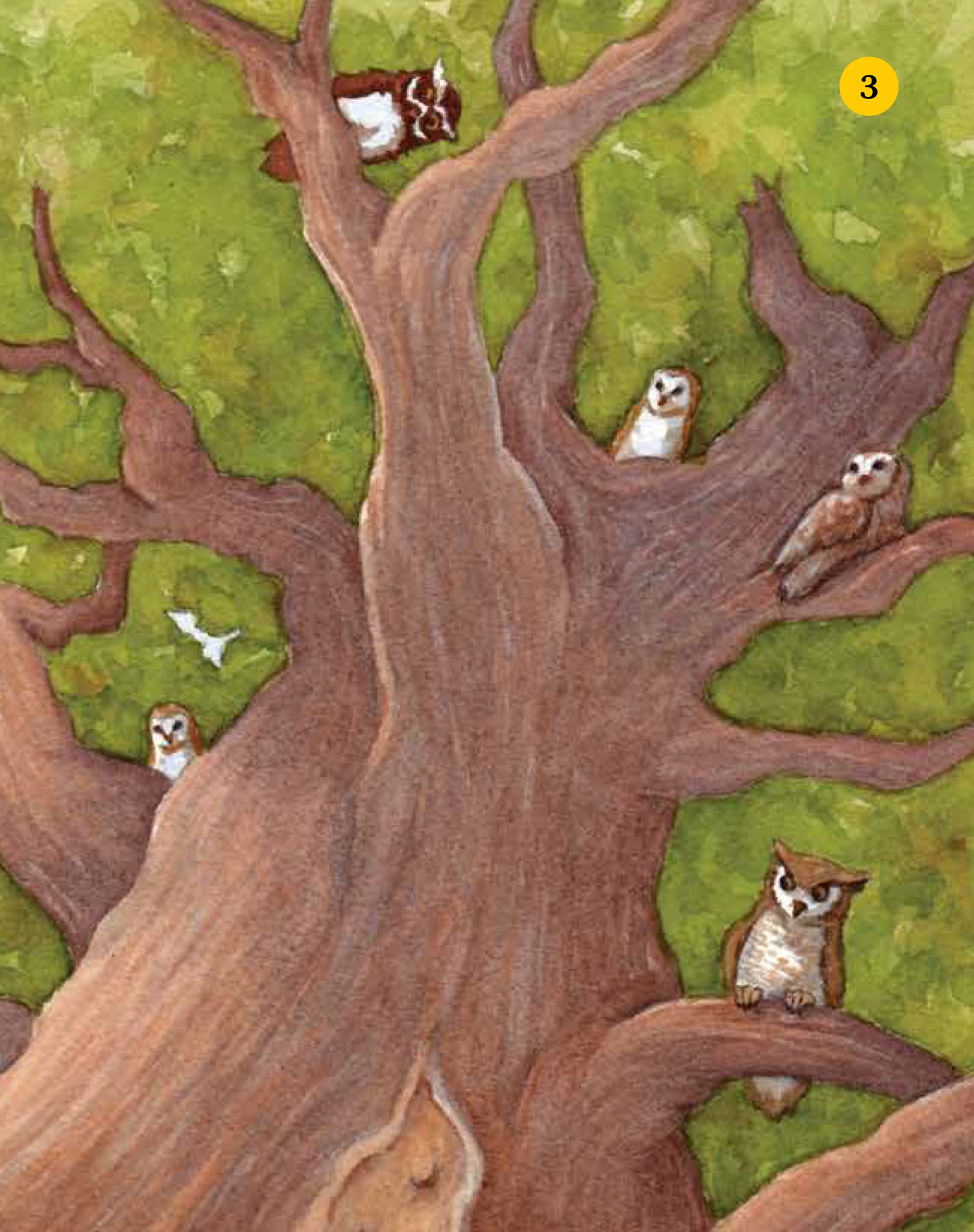 Owl Tree, Children's Book