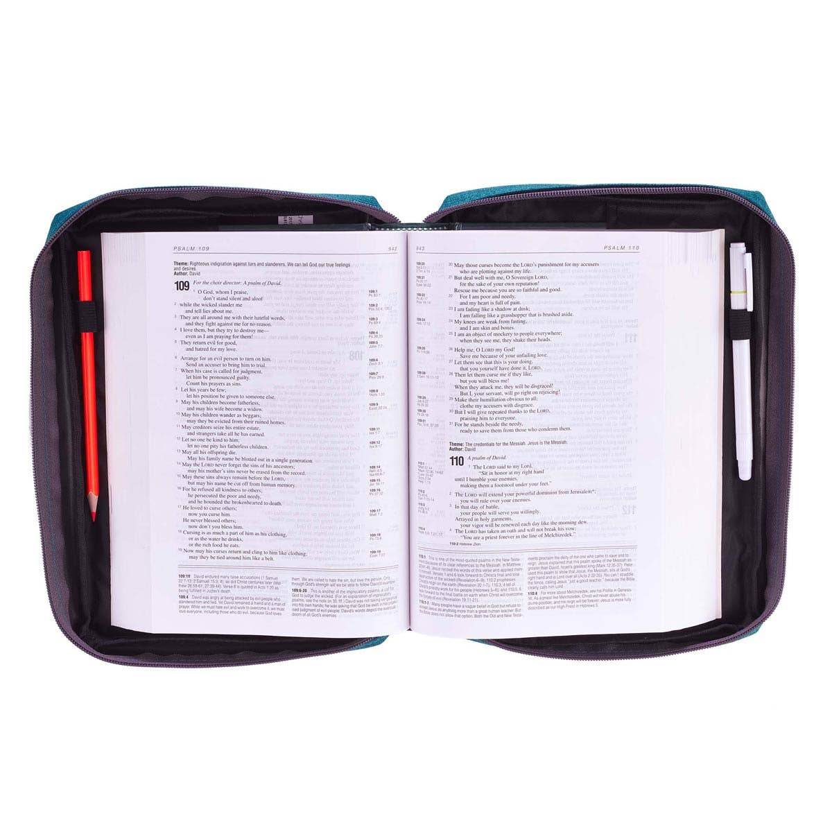 Bible Cover Value Teal Ichthus Patch