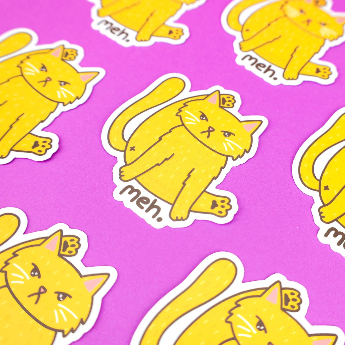 Funny Cat Butt Disgruntled Unhappy Kitty Vinyl Sticker