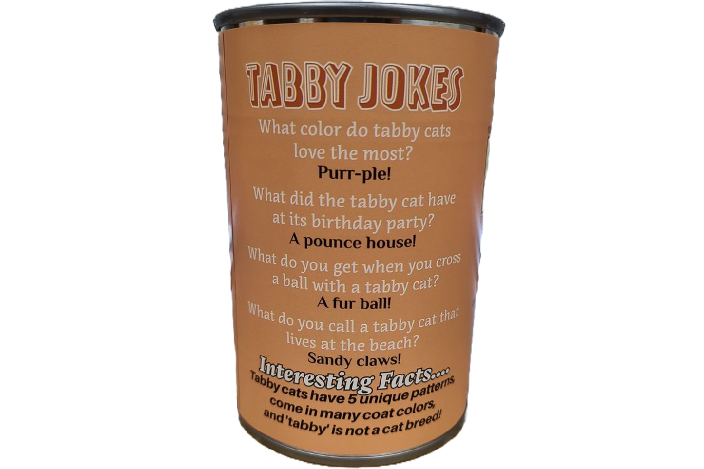 Canned Orange Tabby Cat | Stuffed Animal Cat Plush w/Jokes