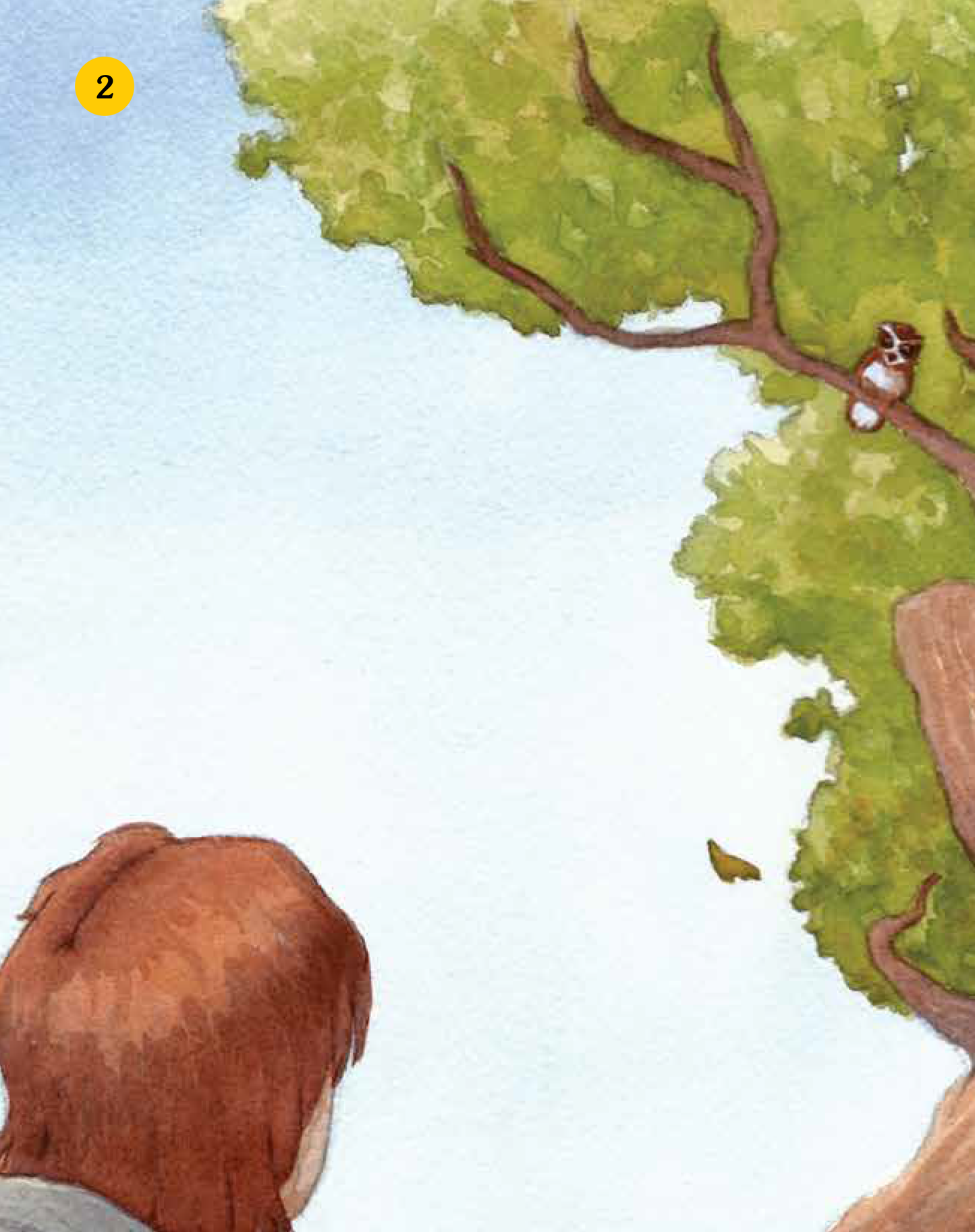 Owl Tree, Children's Book