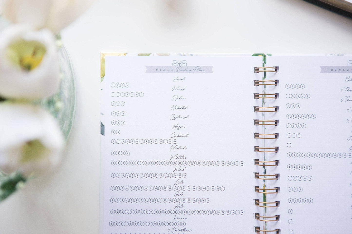 Bible Journal | Inductive Bible Study