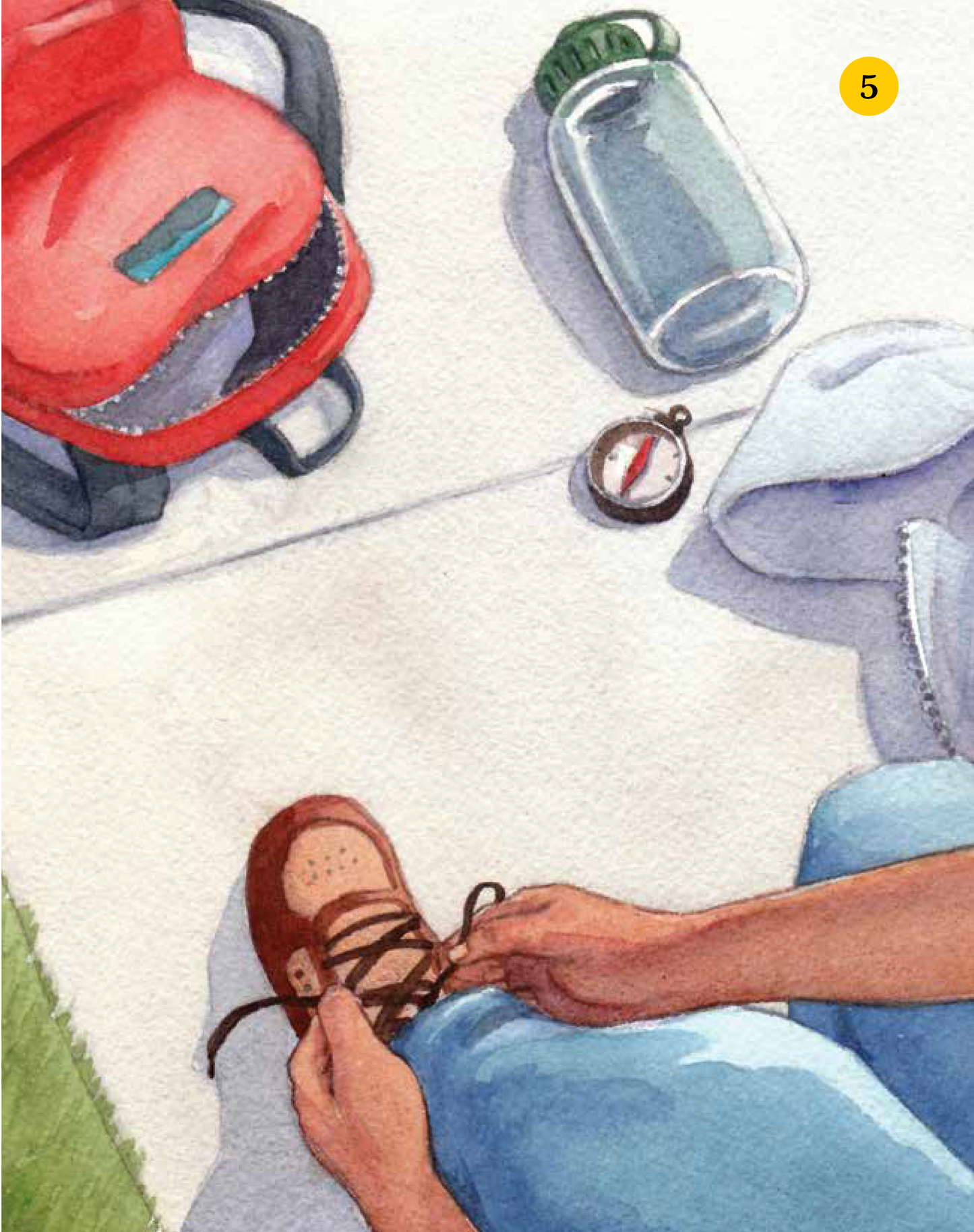 Owl Tree, Children's Book