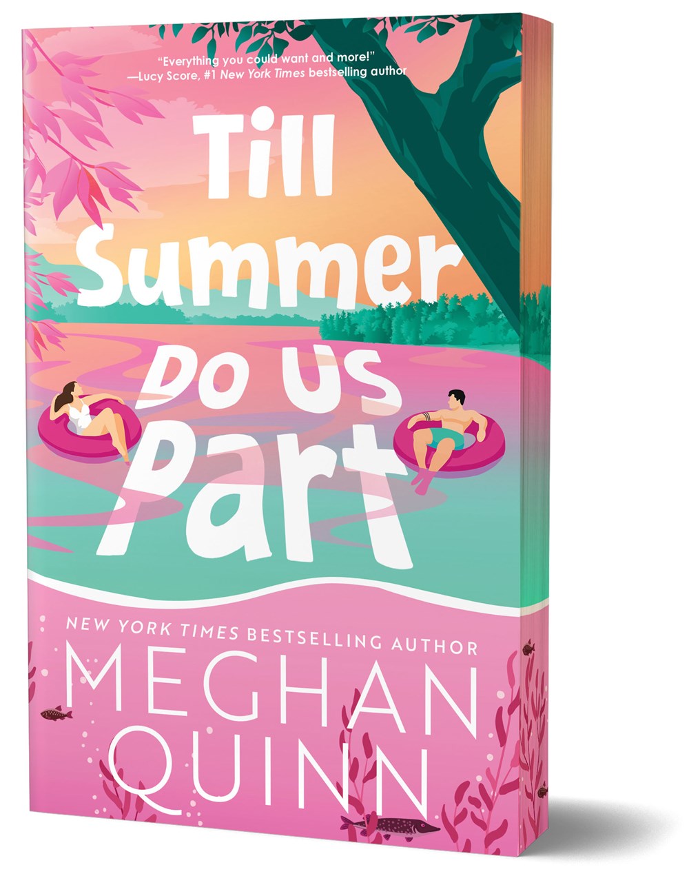 Till Summer Do Us Part (Deluxe Edition) by Meghan Quinn